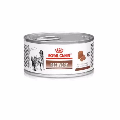 Ração Royal Canin Lata Recovery 195g