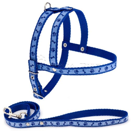 Conjunto de Peitoral em Nylon Nova Pet Patinhas